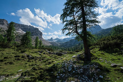 Da malga Flavona a malga Campa (Parco naturale Dolomiti di Brenta - Trentino)