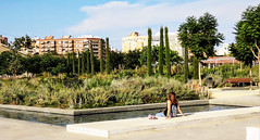Parque Central de Valencia, diseñado por la paisajista Kathryn Gustafson