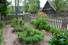 Plants--Cottage Gardens