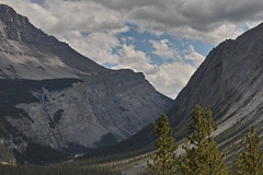 Bow Summit (Driving through Banff National Park via Icefields Parkway in mid-Summer)
