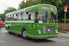 Alton Beer & Buses Running Day 2019