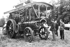 Showmans Engines & Traction Engines