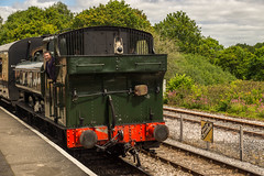 South Devon Railway July 2019