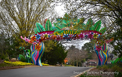 A Glimpse of the Chinese Lantern Festival - Huntsville Botanical Garden