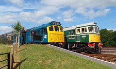 20/07/2019 South Devon Railway Diesel Gala
