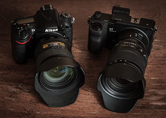 Nikon D600 (2012) / Sigma sd Quattro H (2016-17)