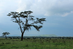 Kenya 2019
