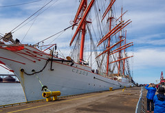 Sailship Sedov