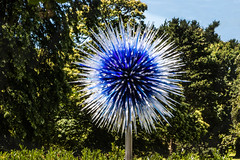 Dale Chihuly Exhition @ Kew Gardens 2019