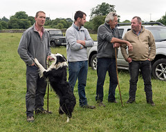 Gargrave Sheepdog Trials, North Yorkshire 28/07/19