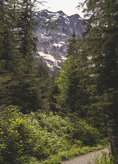 Mount Baker-Snoqualmie Forest
