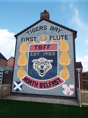 Tigers Bay Belfast