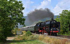 Dampflokomotiven / steam locomotives