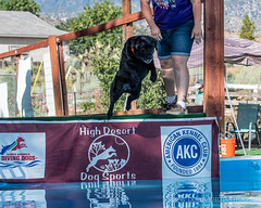 High Desert Dog Sports 2019-08-03