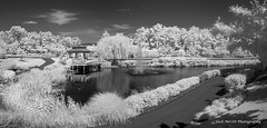 ashby ponds infrared