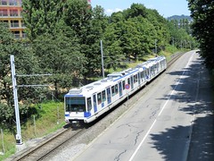 Train T.S.O.L. (Suisse)