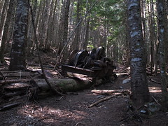 Old loging equipment 8-6-19