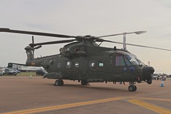 Air Tatoo, Riat 2019. Estatica de helicopteros militares.