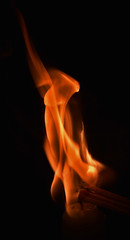 Flamme / Flame