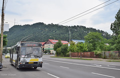 Public Transportation in Piatra-Neamt