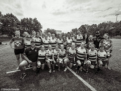 RUGBY XII