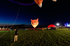 Warsteiner Internationale Montgolfiade 2018 / Balloon Festival in Warstein Germany