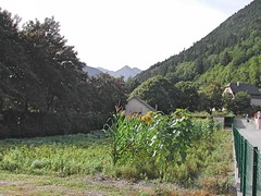 Guchen (bis)-Vallée d'Aure (5)_Fotor