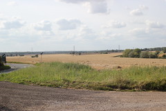Countryside Views 