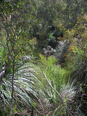 deep creek conservation park - september 2006