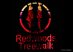 REDWOODS TREE WALK