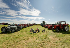 Wensleydale Agricultural Show, Leyburn 24/08/19