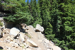 Pacific Crest Trail (from Santiam Pass)
