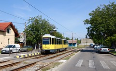 Trams in Oradea