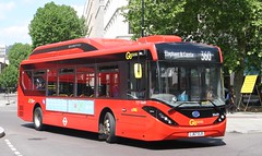 UK - Bus - London Central - Single Deck