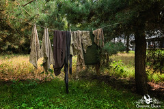  Laundry Day, Belgium