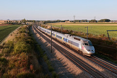 Les TGV réseau