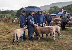 Moorcock Show, North Yorkshire, September 2019