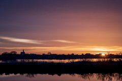 Morning Colors in Camargue