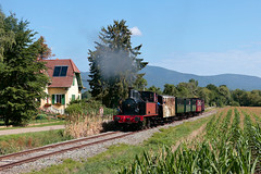 Le Train Thur-Doller-Alsace