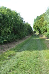 The Sunken Lane, Beaumont-Hamel British Cemetery and the Hawthorn Ridge Crater.