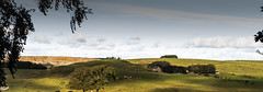 Countryside Northumberland