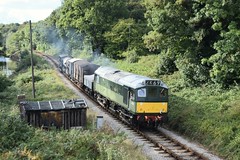 South Devon Railway Diesels