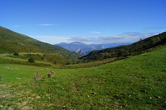 Crossing Pyrenees