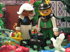 The Witch Cat - A Playmobil Faerie Tale