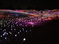 Field of Lights