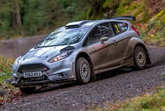 Ford Fiesta R5 Chassis 001 (active)