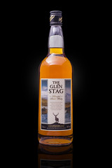 The Glen Stag / Scotland