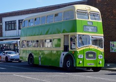 Goodwood Revival Bus Service