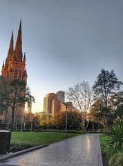 Amazing Sydney