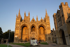 Peterborough Cathedral - Gaia